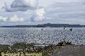 Chemainus